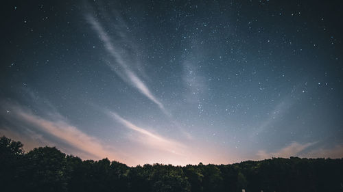 Low angle view of silhouette trees against sky at night