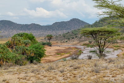 Ewaso nyiro river in samburu national reserve, kenya