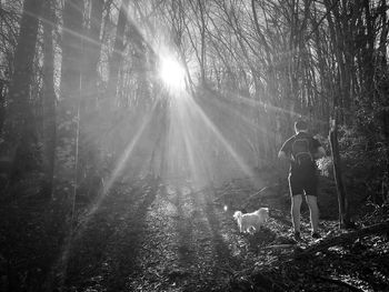 Dog on street amidst trees in forest