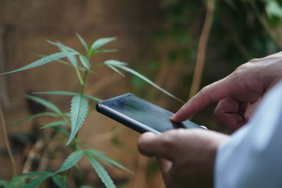 Midsection of man using mobile phone outdoors