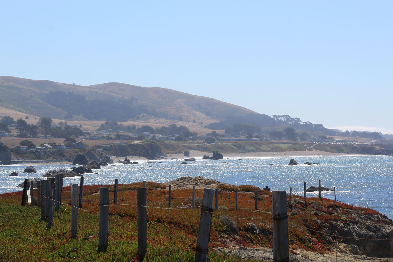 SCENIC VIEW OF BEACH AGAINST CLEAR SKY