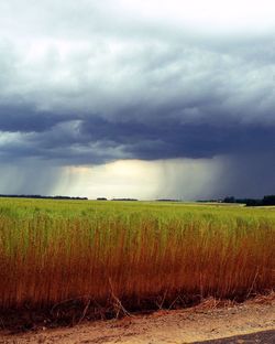 Scenic view of field against cloudy sky