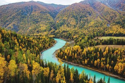 Scenic view of river amidst trees during autumn