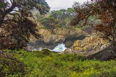 Scenic view of waterfall