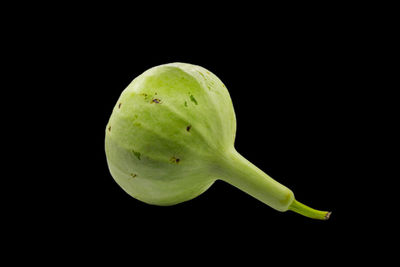 Close-up of apple against black background