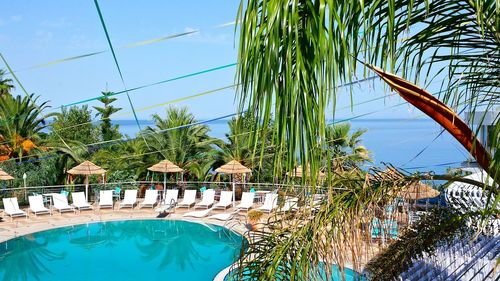 Swimming pool surrounded by palm trees in summer