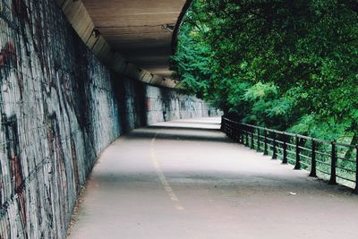 Corridor amidst trees