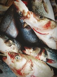 High angle view of fish for sale at market