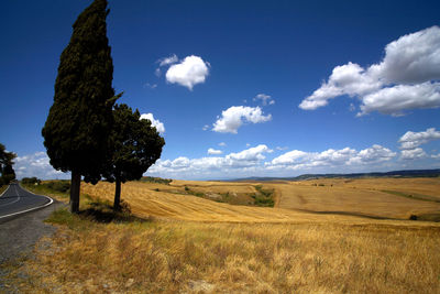 Scenic view of land against sky