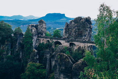 View of trees on cliff