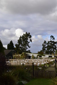 Trees at cemetery against cloudy sky