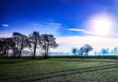 Scenic view of field against blue sky