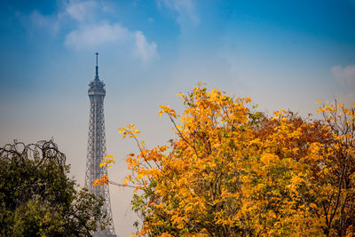 Low angle view of autumn trees against sky