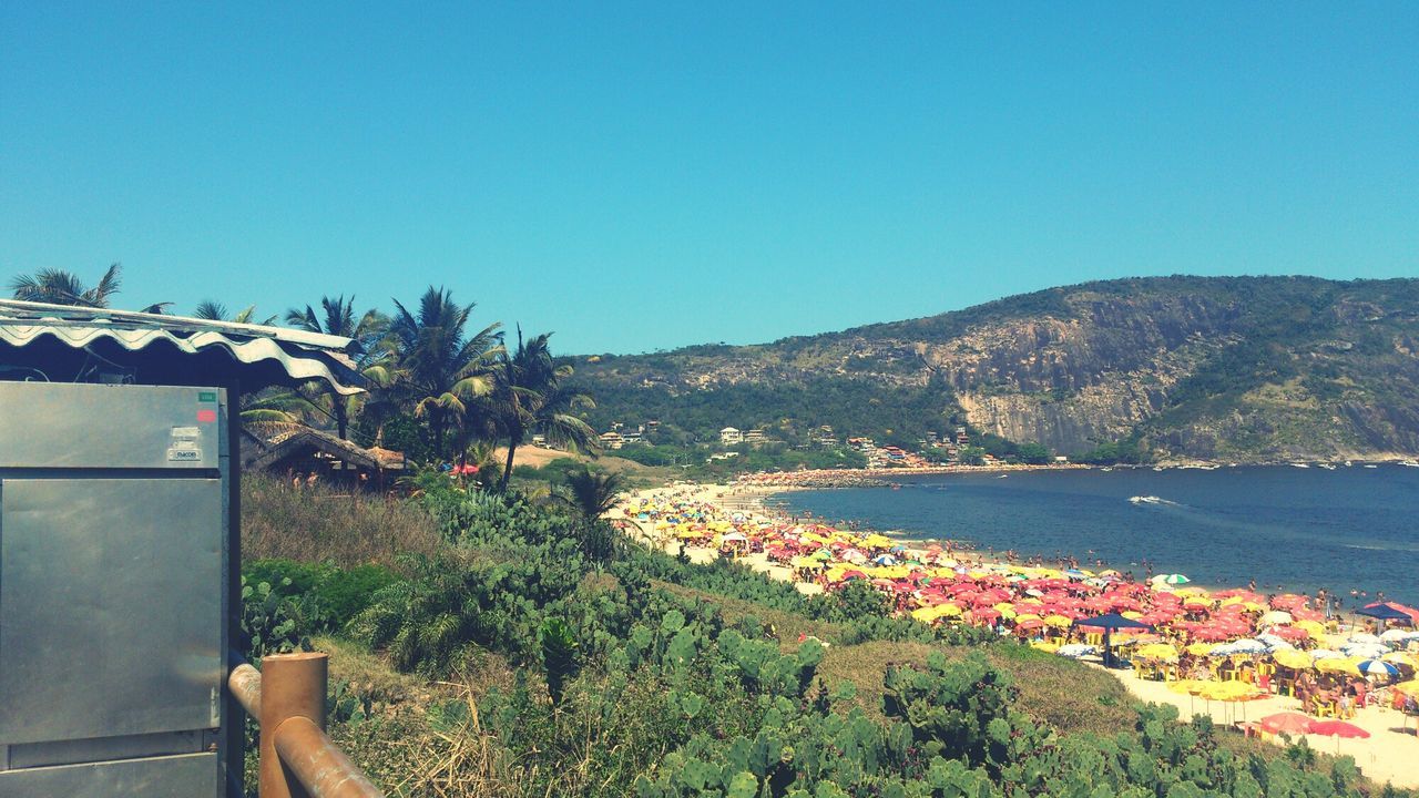 clear sky, copy space, sea, water, mountain, tree, blue, scenics, beach, tranquil scene, beauty in nature, nature, tranquility, transportation, plant, growth, coastline, outdoors, shore, high angle view