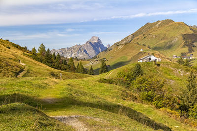 Scenic view of landscape against sky