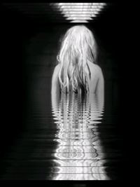 reflection