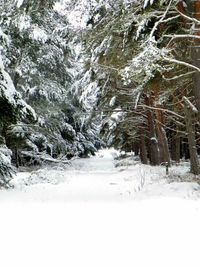 Road passing through snow covered landscape