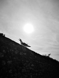 Low angle view of silhouette bird flying against sky