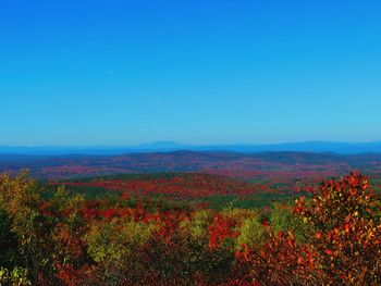 Scenic view of landscape against clear blue sky