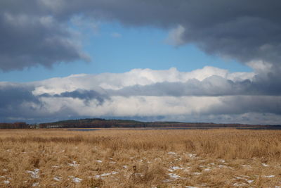Scenic view of agricultural field against sky