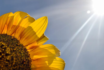 Low angle view of sun shining through clouds