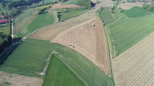 High angle view of agricultural field