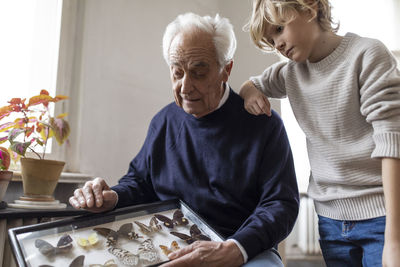 Grandfather showing butterfly collection to grandson at home