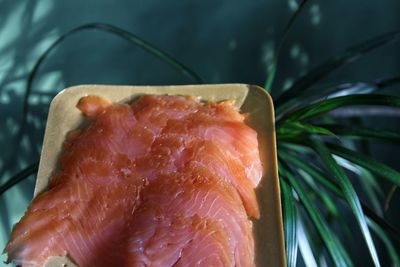 Close-up of fish on plate 