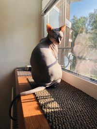 Man sitting by window at home