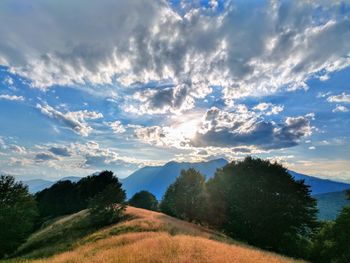 Scenic view of field against sky during sunset