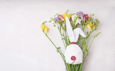 Close-up of white flowers in vase