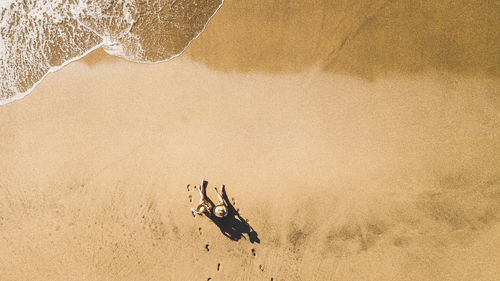 High angle view of crab on sand at beach