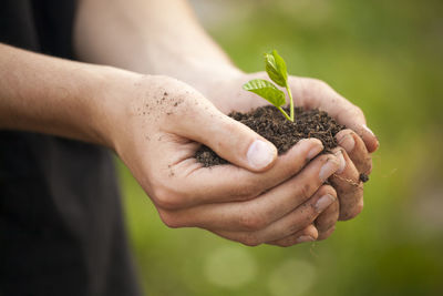 Close-up of hand holding plant