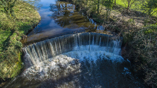 Reflection of trees in water