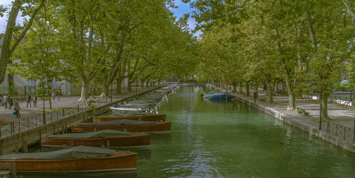 Boats moored in canal