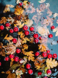 High angle view of fruits