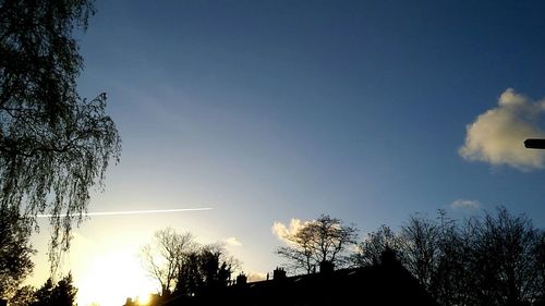 Low angle view of silhouette trees against sky