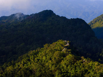 Scenic view of tree mountains against sky