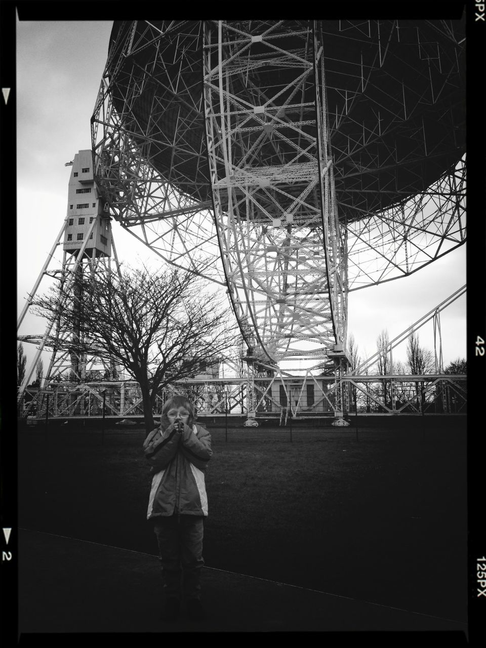 transfer print, built structure, architecture, building exterior, auto post production filter, low angle view, sky, tree, bare tree, metal, city, tower, day, outdoors, no people, ferris wheel, amusement park, travel destinations, famous place, amusement park ride