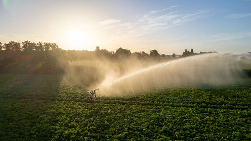 Aerial view by a drone of a agriculture field being irrigated by a powerful irrigation system