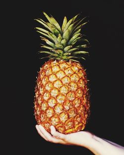 Close-up of hand holding fruit against black background