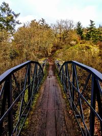 Footpath amidst trees in forest against sky