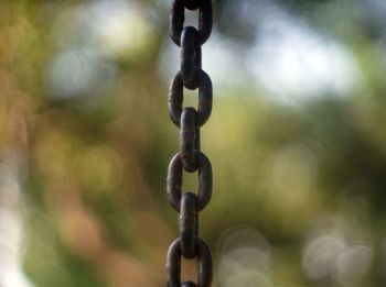 Close-up of chain