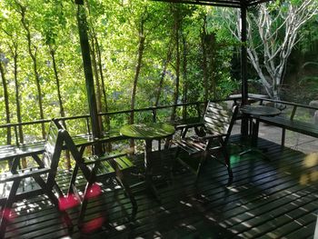 Empty chairs and table against trees in forest