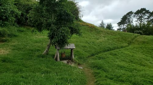 Well in a garden in hobbiton 