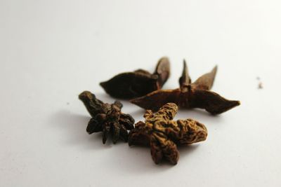 Close-up of bread over white background