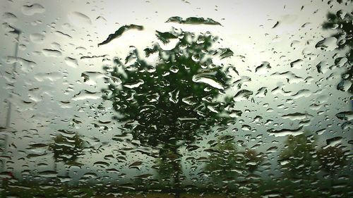 Close-up of water drops on glass