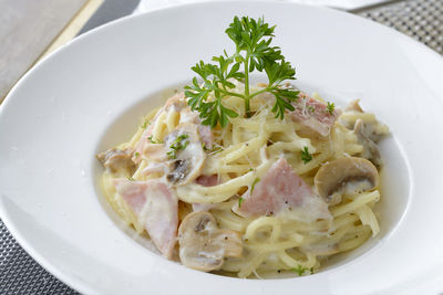 Close-up of spaghetti with cheese and meat in plate