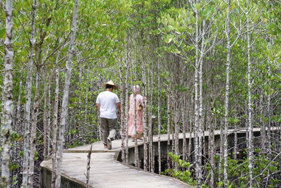 Rear view of man walking in forest