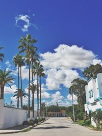Road amidst palm trees and buildings against sky